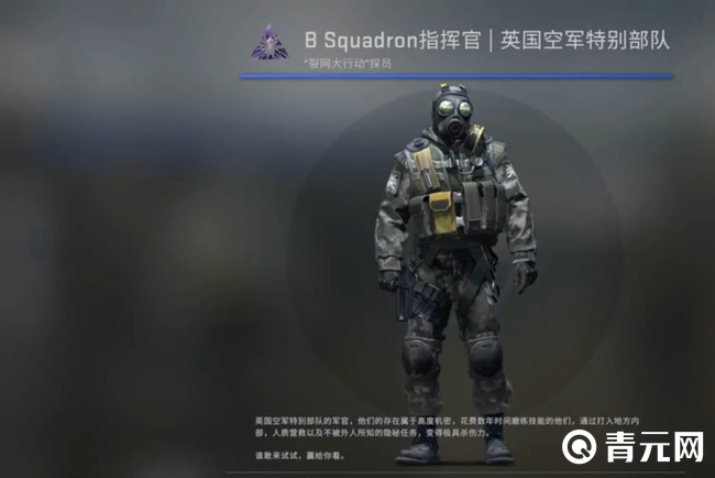 csgo探员只能提供不一样的人物模型/